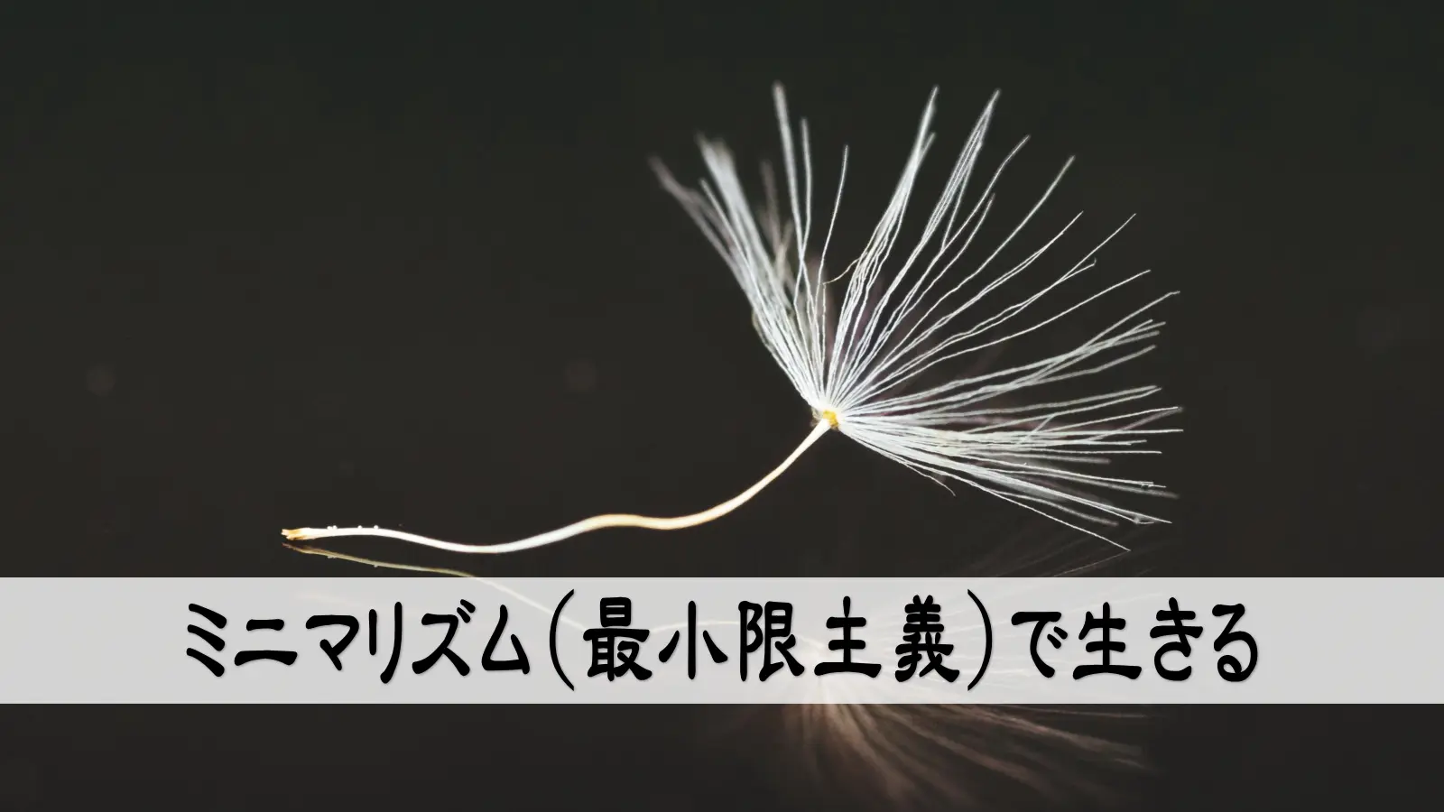 ミニマリズム（最小限主義）で生きる