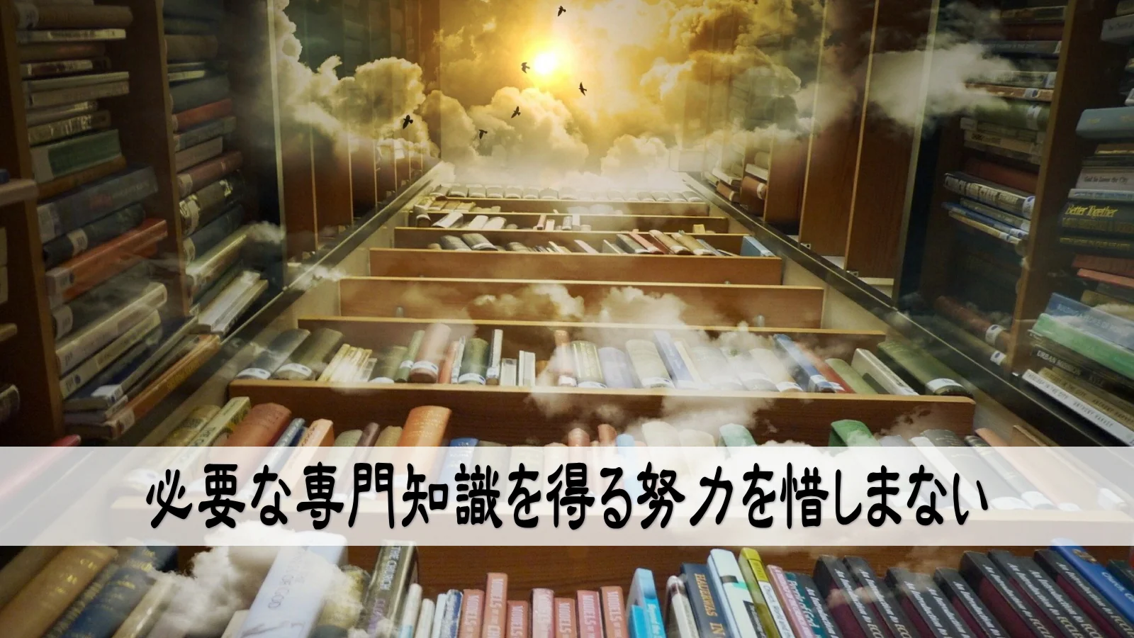 必要な専門知識を得る努力を惜しまない