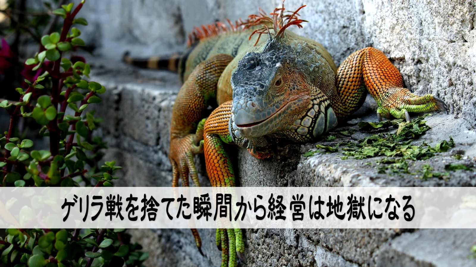 ゲリラ戦を捨てた瞬間から経営は地獄になる